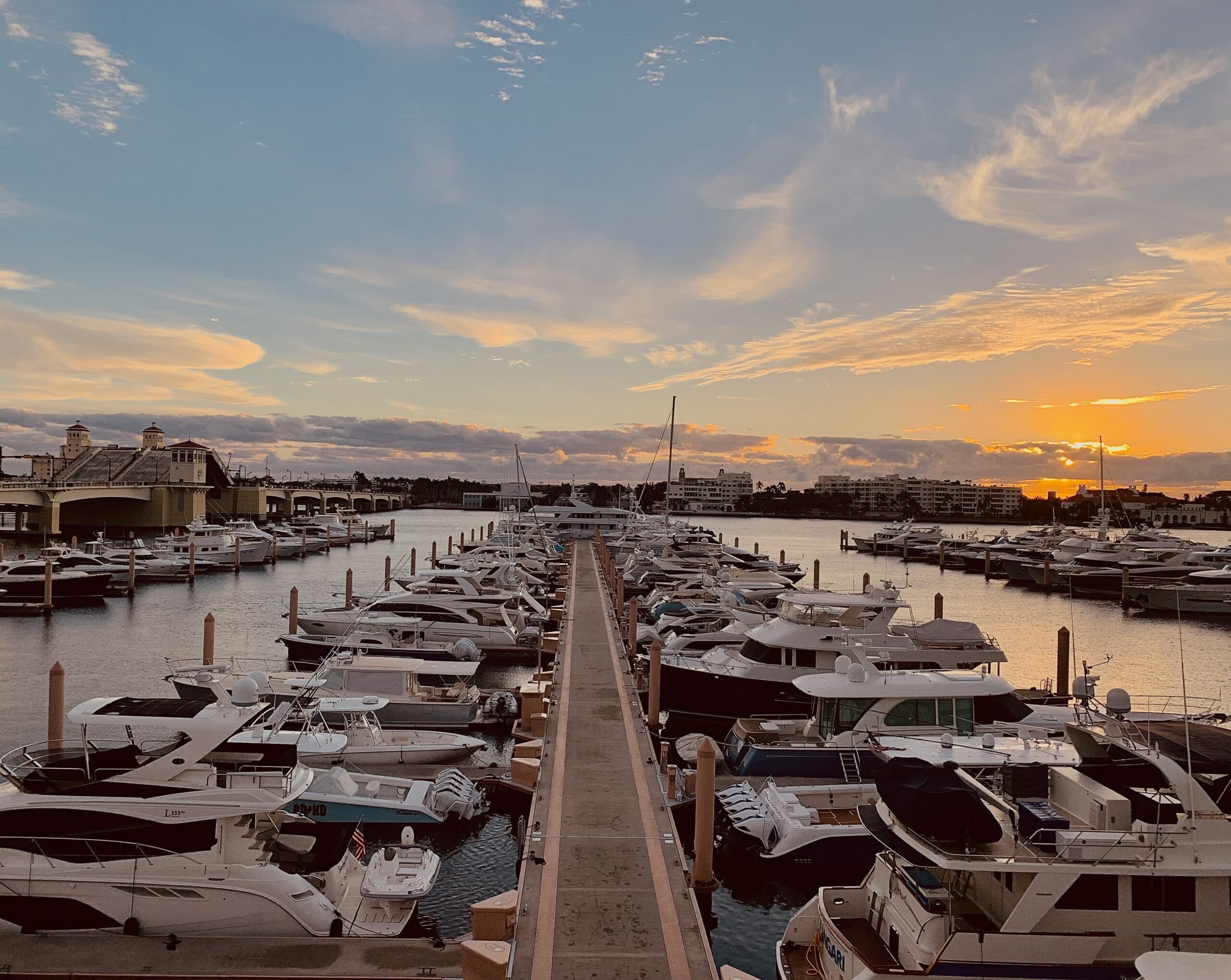 Marine Coat Profile Picture