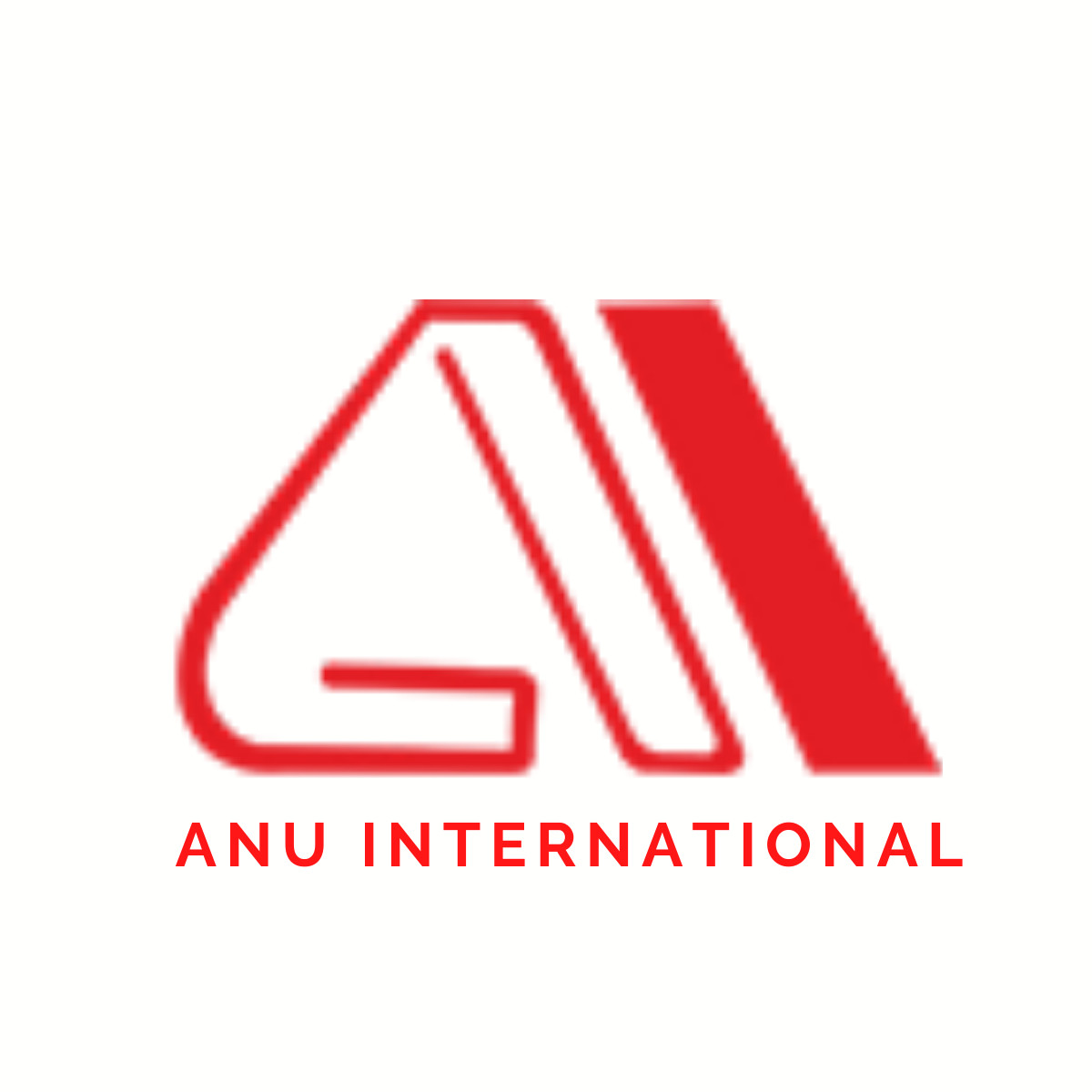 Anu International Profile Picture
