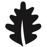 Richard Taylor Profile Picture