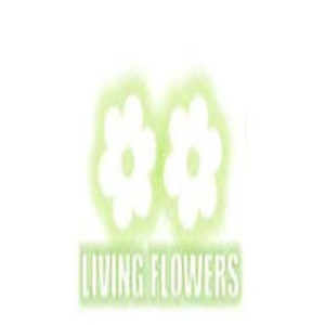 living flowers Profile Picture