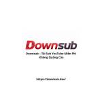 Downsub Tai Sub Youtube Profile Picture