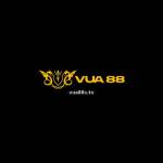 VUA88 STO Profile Picture