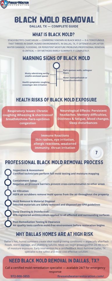 Black Mold Removal Dallas, TX Discover how professional Black Mold Removal in Dallas, TX works — from early warning signs and... – @fires-water-restoration1 on Tumblr