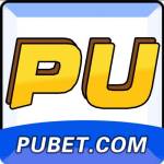 pubetapp org profile picture