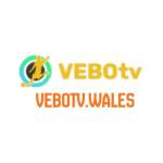 VEBOTV Profile Picture