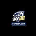 SKY88 8ACOM Profile Picture