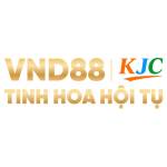 VND88 Profile Picture