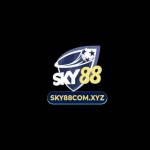 SKY88 COMXYZ Profile Picture