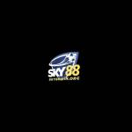 SKY 88 Profile Picture