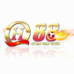 QH88 Profile Picture