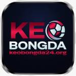Keobongda org Profile Picture