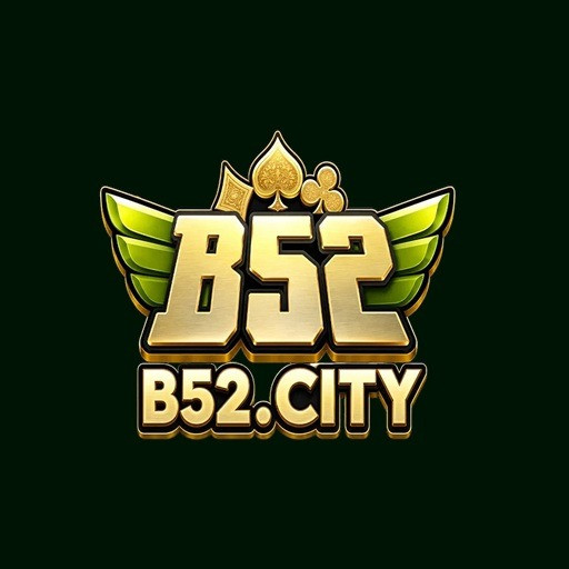 B52 city Profile Picture