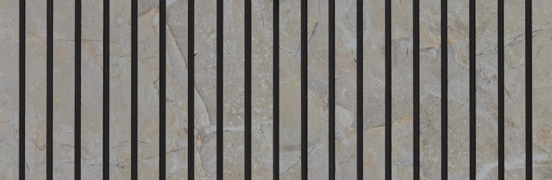 Kaka Industries Limited Cover Image