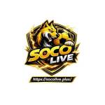 socolive pluse profile picture