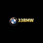 33BMW Profile Picture