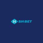 Shbet cruises Profile Picture