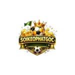 Soikeophatgoc 1com Profile Picture