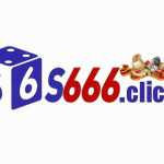 S666 net profile picture