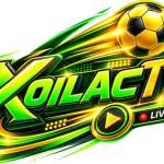 Xoilac Bet Profile Picture
