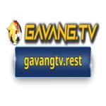 GavangTV profile picture