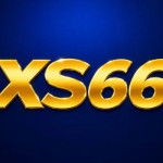 XS66 ltd Profile Picture
