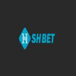 Bshbet com profile picture