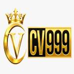 PlayCV999 com profile picture