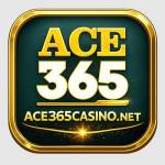 ace365casino Profile Picture