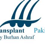 Best hair transplant in lahore Profile Picture