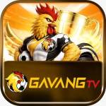 Gavangtv study Profile Picture