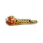 cb666c org Profile Picture
