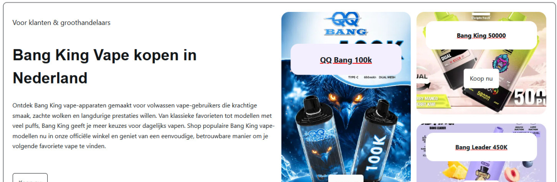 Bang King Vape kopen in Nederland Cover Image