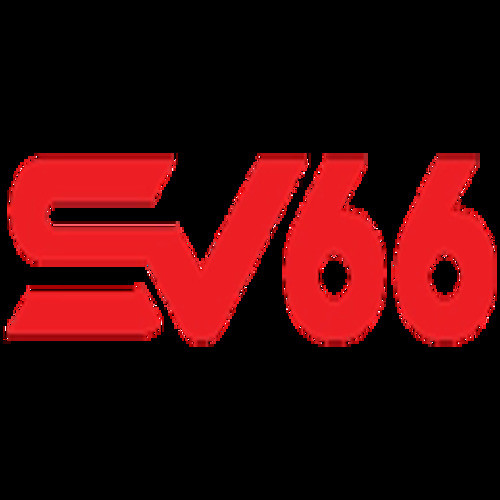 S666 nin Profile Picture