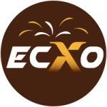 Dịch Vụ SEO Trường Tồn ECXO From Search To Mind Profile Picture