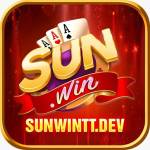 Sunwintt dev profile picture