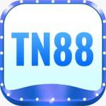 Tn88 casino Profile Picture